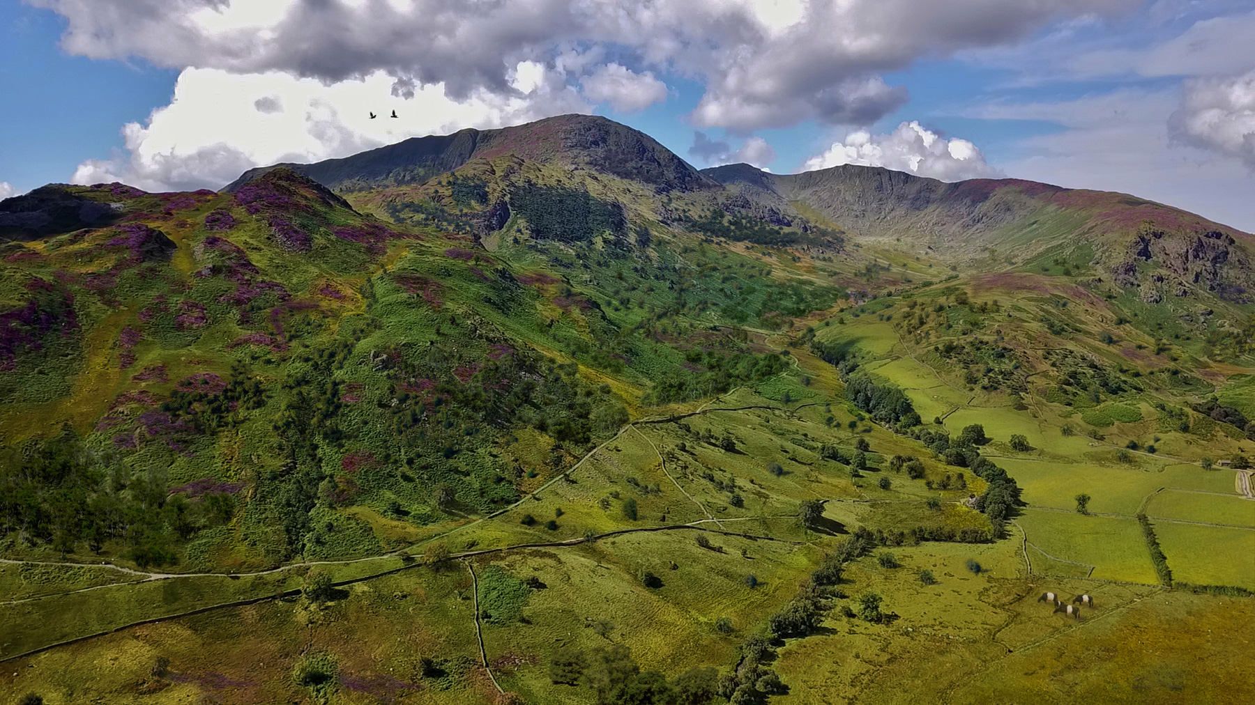 Landscape-Scale Restoration